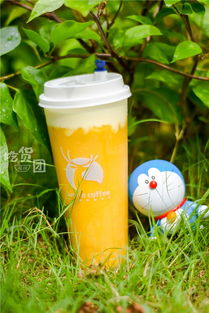 火爆全福州的小鹿茶測(cè)評(píng)來了！一口氣喝了5杯，你的夏日飲品要更新了